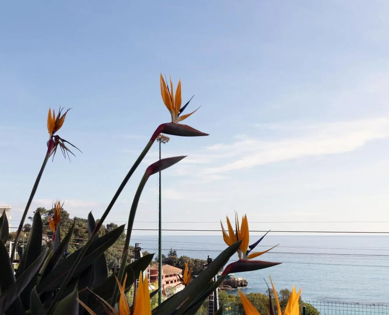 Monaco Country Park 1 Bed Apt Roquebrune-Cap-Martin Apartment